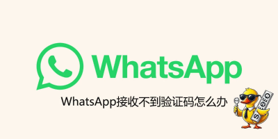 历经3个月，终于收到 WhatsApp 验证码